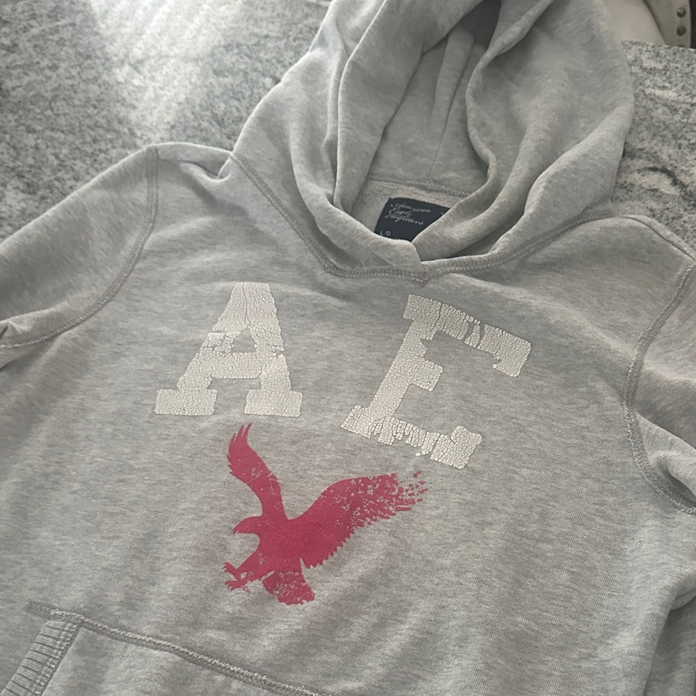 Y2K American Eagle Outfitters Light Gray Fleece